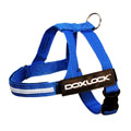 DoxLock Beltharness Blue XSMALL