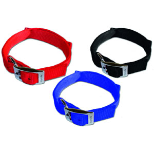Dog Control Collar Basic XL (61-70 cm x 30 mm)