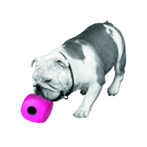 Buster Cube Snack Ball - 7 cm