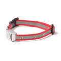 LED Collar Red